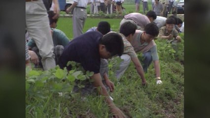 "10건 중 3건 DNA 확인"...'화성 연쇄 살인사건' 용의자 특정 / YTN