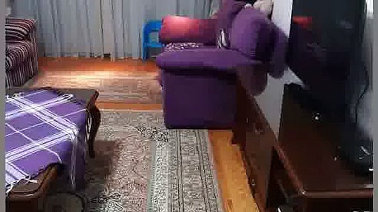 2600000EGP semi furnished Apartment in Narges 3  New Cairo