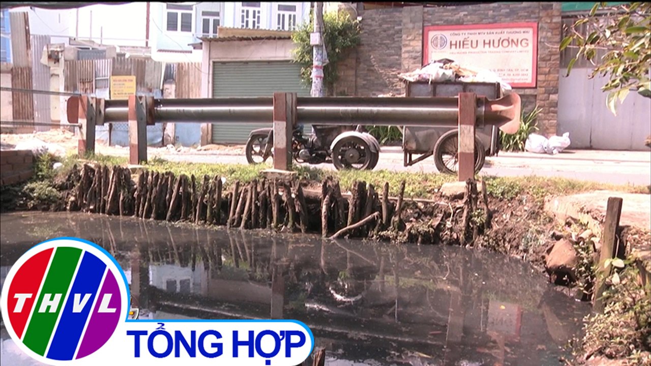 THVL | Chiến sĩ bảo vệ tổ quốc - cựu chiến binh bảo vệ môi trường