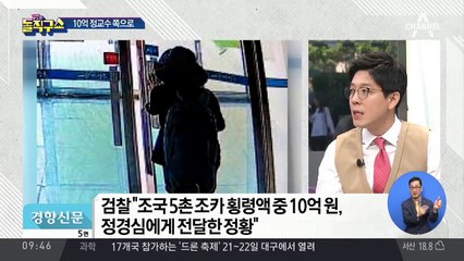 “조국 처남, 코링크에서 매달 800만 원 수령”