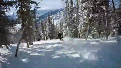 Lines We Love: Blake Paul, top-to-bottom in Casper Bowl, Jackson Hole, Wyoming