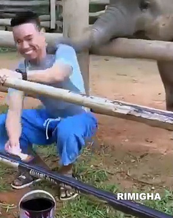 funny vieo