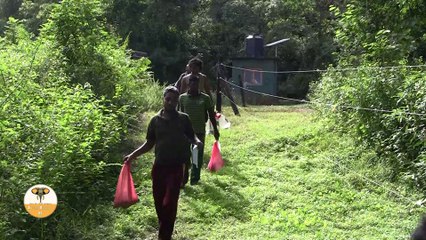 Wild animal rescue mission at Kalugaga in sri lanka !