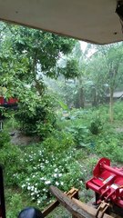 Heavy rain - crazy tropical storm in India