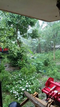 Heavy rain - crazy tropical storm in India