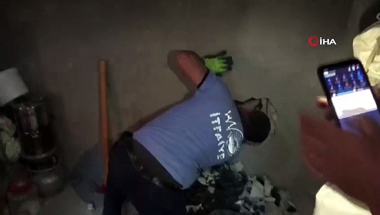 Van'da kedi kurtarma operasyonu