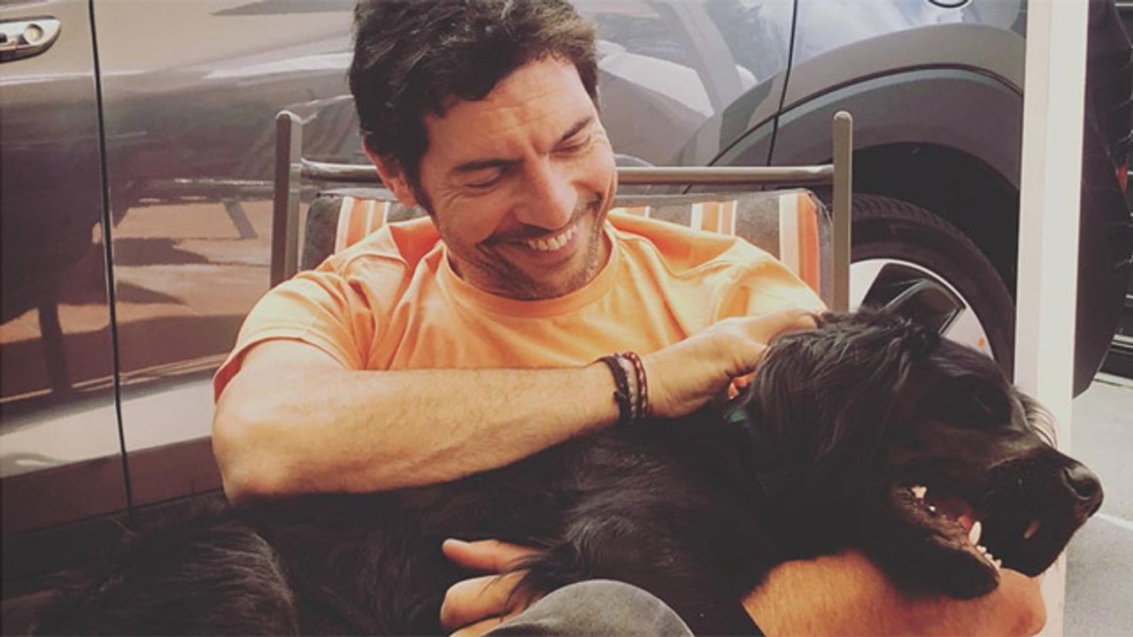 Te presentamos a Marley, el perro Quico Taronjí