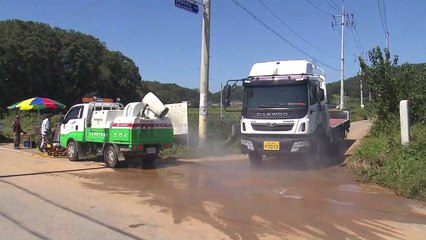 '아프리카돼지열병' 이동중지명령 해제...발생지역은 통제 / YTN