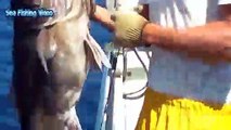 Awesome Automatic Longline Net Fishing - Big Catching and Processing Fish on The Sea