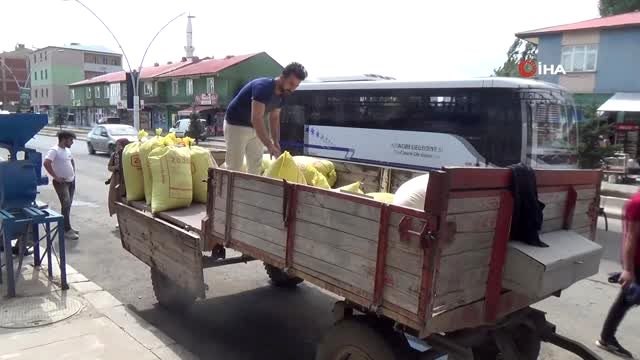 Ağrı'da değirmen çarkları dönmeye başladı