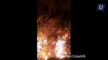 Kanak-kanak 13 tahun turut bantu padam kebakaran di Riau