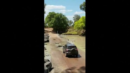 Australia, el lugar donde puedes encontrar cocodrilos en la carretera