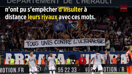 Homophobie dans les stades : retour sur la polémique des interruptions de matchs