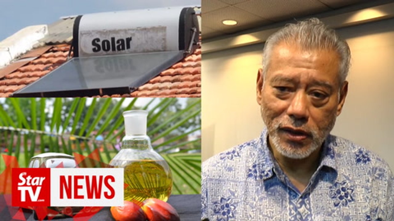 Jomo: Strong political will needed in domestic renewable energy push