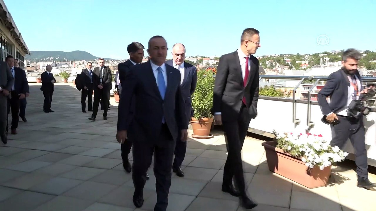 Türk Dili Konuşan Ülkeler İşbirliği Konseyi - Çalışma yemeği - BUDAPEŞTE