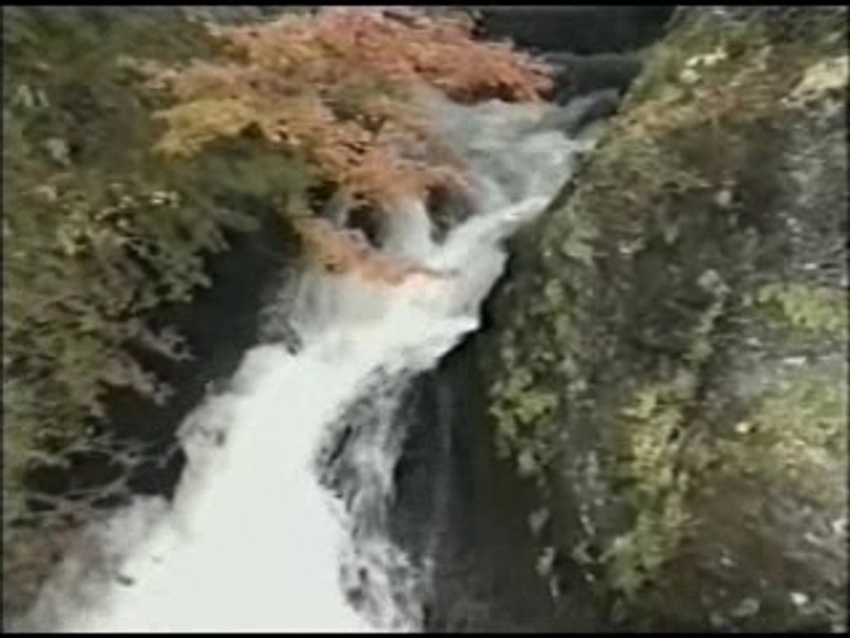 Full Moon Wo Sagashite OAV
