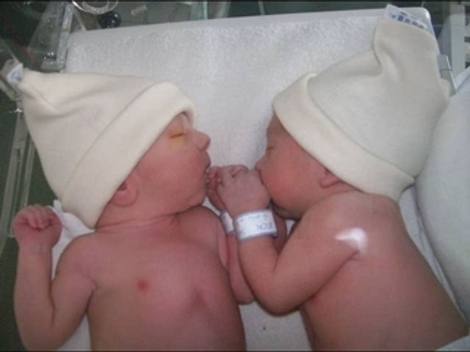 Les loulous