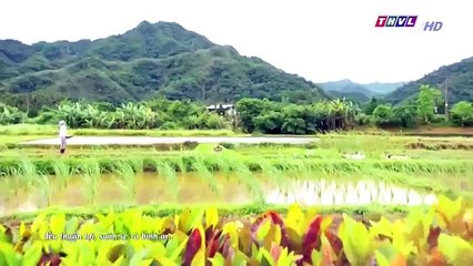 Đại Thời Đại Tập 174 - đại thời đại tập 175 - Phim Đài Loan - THVL1 Lồng Tiếng - Phim Dai Thoi Dai Tap 174