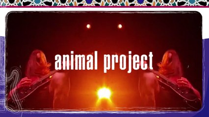 Animal Project | Al-AlmA Music Festival | 29 Nov 19
