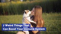 Try Boosting Your Immunity