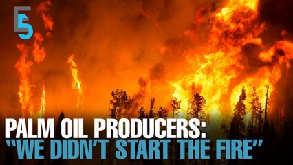 EVENING 5: ‘Inaccurate’ to blame haze on palm oil plantations