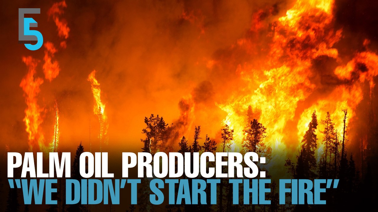 EVENING 5: ‘Inaccurate’ to blame haze on palm oil plantations