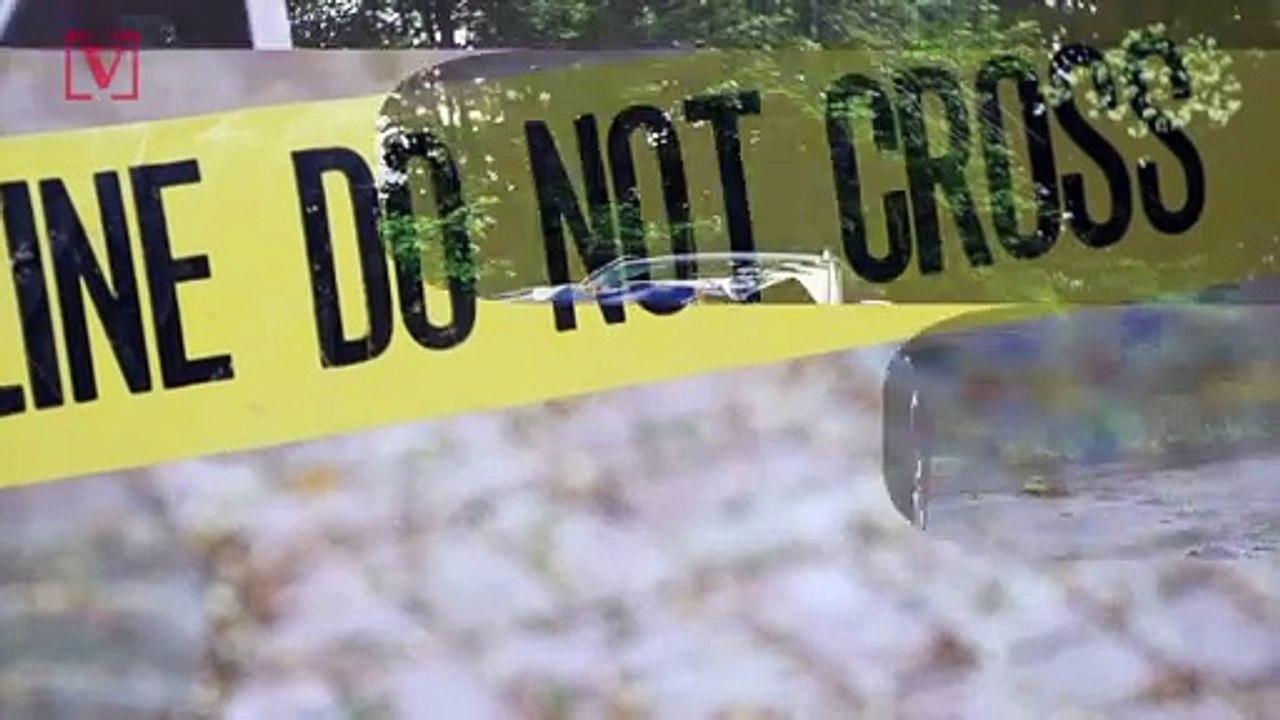 More Americans Died From Guns in 2017 Than Auto Accidents