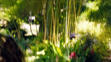 Le Jardin secret Bande-annonce VO (2019) Colin Firth, Dixie Egerickx