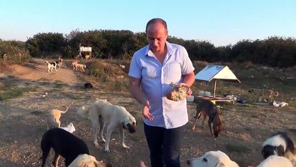 "İstanbul'un ormanları belediyelerin ölüm kampı!"