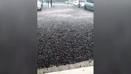 Chuva de granizo é registrada em Cascavel