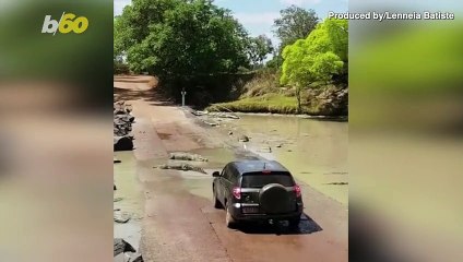 Group of Crocs Block Infamous Road in Australia Forcing Car To Stop