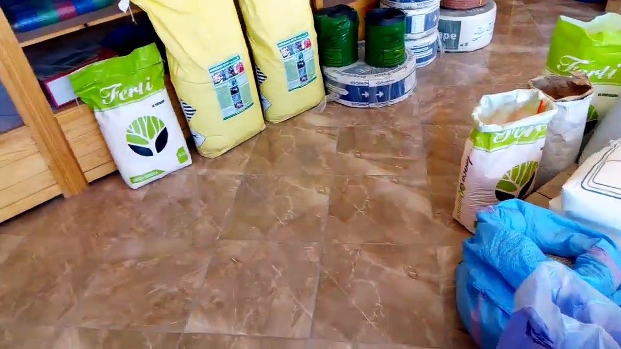 النبتة في حاجة لهذا الطعام  ‬