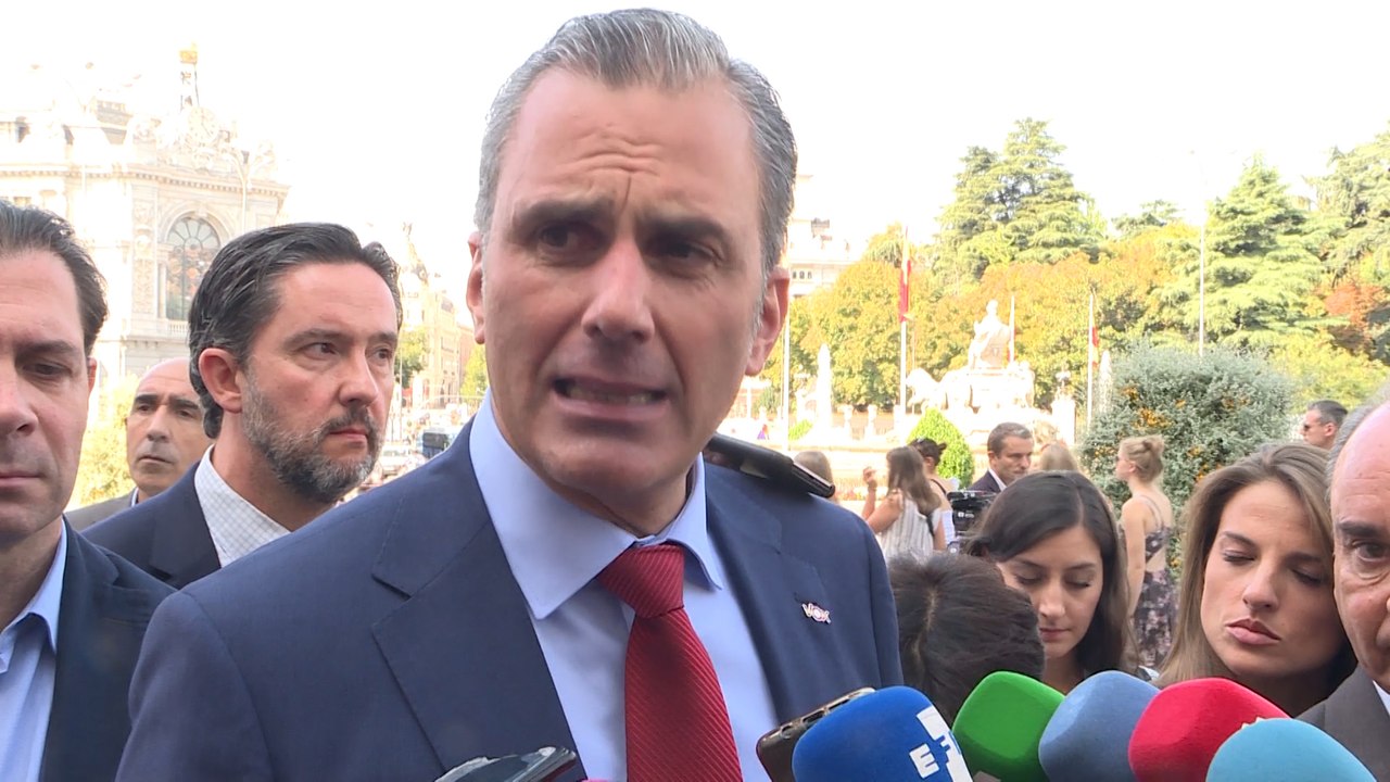 VOX pide un gran pacto nacional contra la violencia "intrafamiliar"