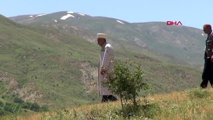 Van verimli bal sezonu için şükür duasında arılar saldırdı-ek