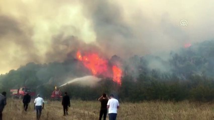 Makilik alanda yangın kontrol altına alındı - BİLECİK