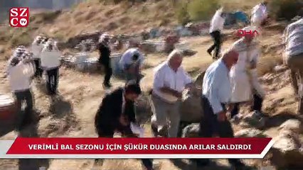 Verimli bal sezonu için şükür duasında arılar saldırdı
