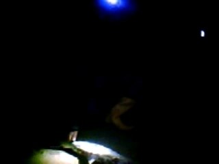 pesca in notturna alla Spigola