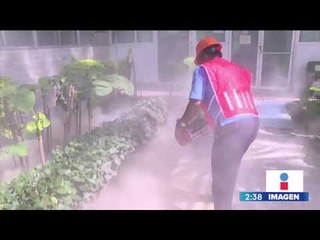 Este jueves 19 de septiembre habrá un Macrosimulacro en la CDMX | Noticias con Yuriria Sierra