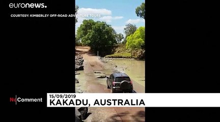 Уступи дорогу крокодилу