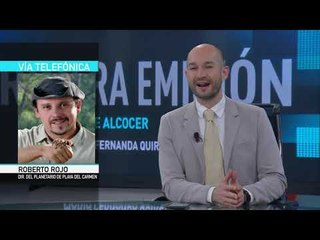 Contaminación auditiva principal causa de encallamiento de ballenas: Roberto Rojo