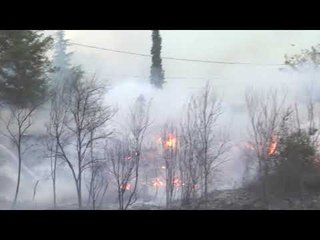 Zjarr prane Qytetit Studenti