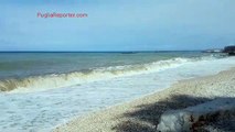 Il mare di fine estate in Puglia: a Bisceglie il fascino delle onde solitarie