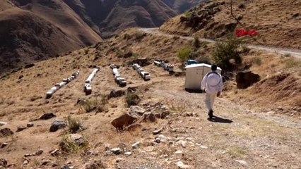 Verimli bal sezonu için şükür duasında arılar saldırdı