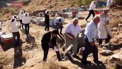 Verimli bal sezonu için şükür duasında arılar saldırdı