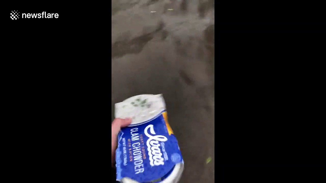 'Hopefully my car insurance covers this': Houston man wades through road flooded by Tropical Depression Imelda