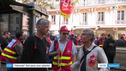 EDF : les salariés en grève contre le projet "Hercule"
