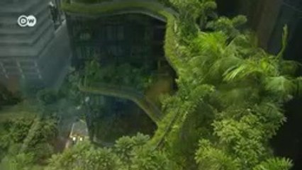 Kebun Vertikal Urban Solusi Atasi Polusi