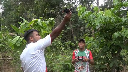 Amazonas: So kämpft der Tikuna-Stamm gegen Brandstifter