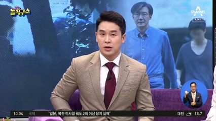 “코링크는 정경심의 것”…핵심 진술 나왔다