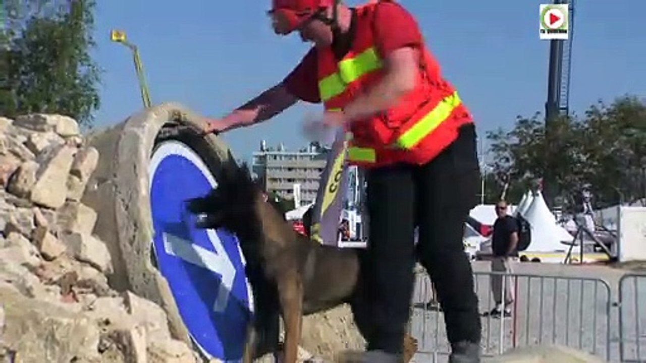 Vannes  | Chiens Sauveteurs SDIS 56  |  Vannes Télé